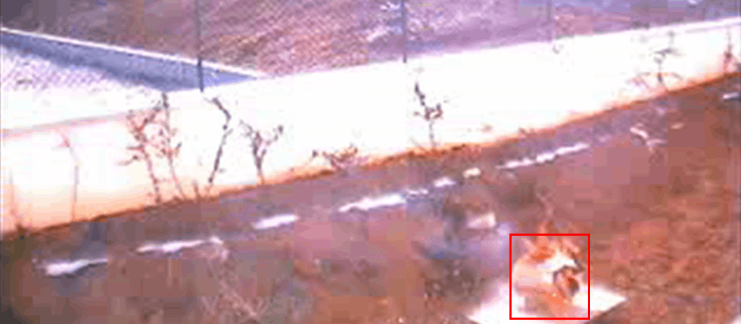 Smoke and Flame Alarm